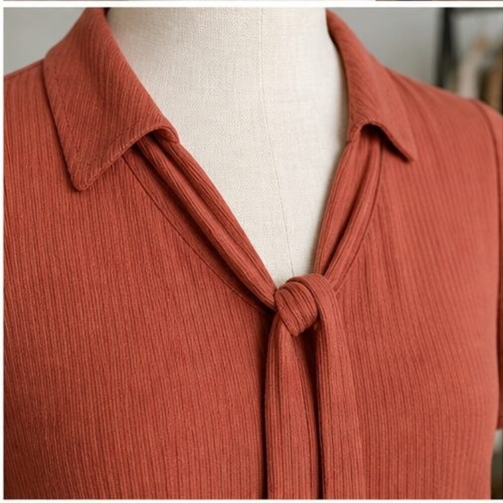 Rust V Neck Top - Picture 4 of 6